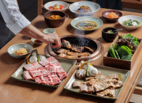 제주 드림타워 녹나무