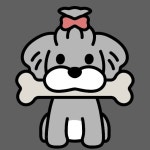 솔이네 냠냠창꼬