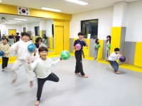 튼튼태권도