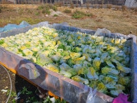 송탄부대찌개 쑥고개식당