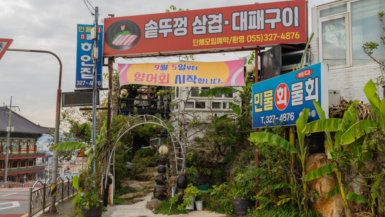 하얀집