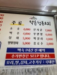 약촌 청둥오리