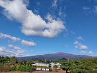 소나무지역아동센터