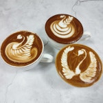 코코커피바리스타학원