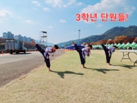 연세영일태권도장