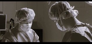 온하루동물의료센터