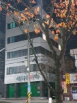 신독일약국