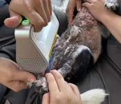 온하루동물의료센터