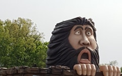 국가대표연세태권도