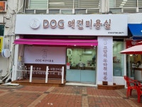 도그애견미용실