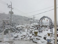 성산애