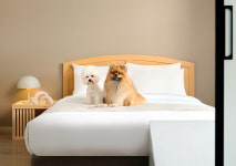 한화리조트 평창