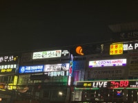 과학의힘 영어의힘