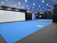 ROAD FC SSMA 상승도장MMA합기도 12관