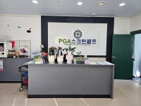 피지에이스크린골프