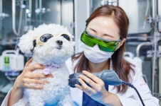 24시 예담동물의료센터