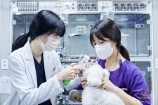 24시 예담동물의료센터