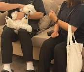 바우라움 수원신갈캠퍼스