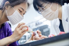 24시 예담동물의료센터