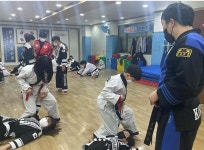 대한합기도승리관신흥수련관