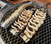 이가풍천민물장어