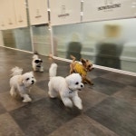 바우라움 수원신갈캠퍼스