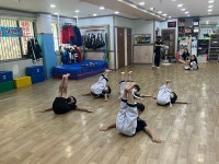 대한합기도승리관신흥수련관