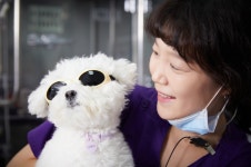 24시 예담동물의료센터