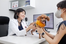 24시 예담동물의료센터