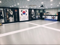 노은태권도