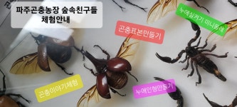 파주곤충농장숲속친구들