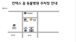 킨텍스꿈동물병원