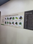 윤훈식농가쌈밥인동점