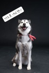 더소풍펜션