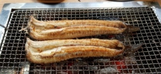 왕숯불민물장어 학익점