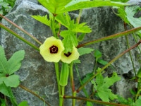 장수송어회식당