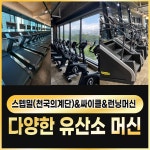 캡틴짐 헬스&PT 24시 마산월영점