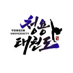 용인대청용태권도