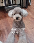 전자담배 스트롱베이프 운정역점