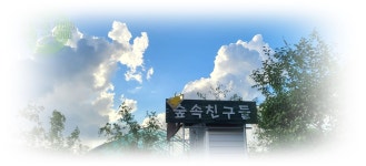 파주곤충농장숲속친구들