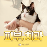 울산쉼표동물병원