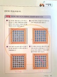 브레인톡톡 창의사고력 교구수학