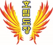 전통무예 국술원 호림도장