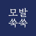 하루두피 광주주월점