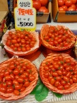 과일나라