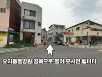 멍냥이이발소