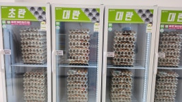 좋은계란할인점 여주오학점