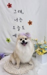 몽슈