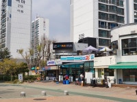 유아독존 고등영어교습소