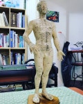 정선생 보건추나